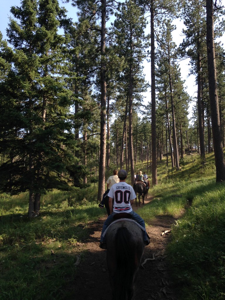 Black Hills Horse Trail Riding